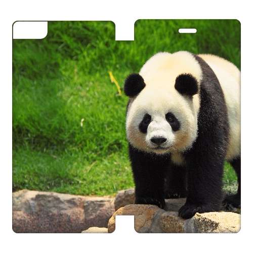 Huawei Ascend P8 Lite Uniek Hoesje Panda